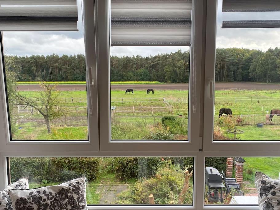 Wunderschoene Ferienwohnung Auf Dem Bauernhof Гревен Экстерьер фото