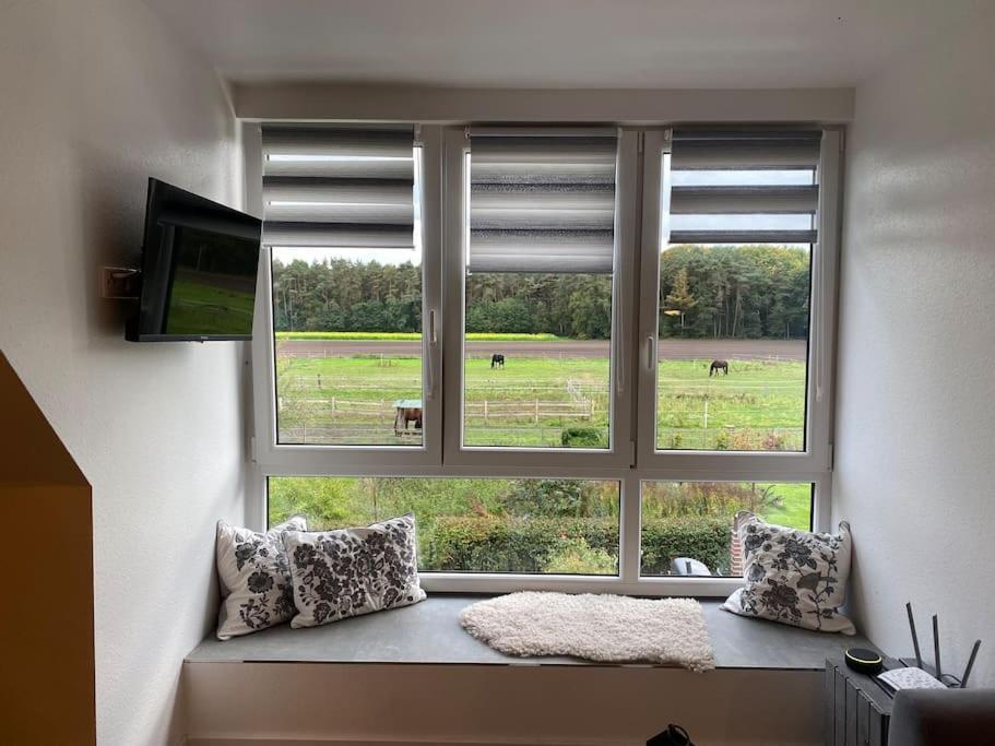 Wunderschoene Ferienwohnung Auf Dem Bauernhof Гревен Экстерьер фото
